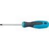 Hazet Tournevis - Profil TORX Intérieur - Taille: T 27 - 810-T27 -Promos HAZET Boutique 4393223 1